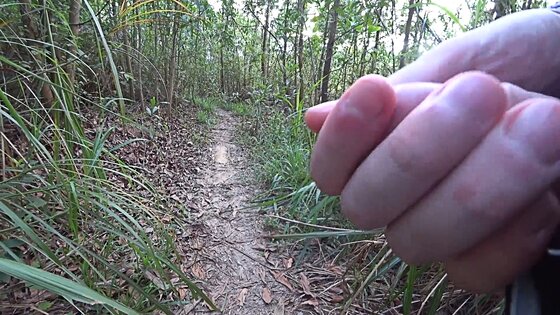 public stranger fuck a quickie sex at forest and cum inside porn videos porn