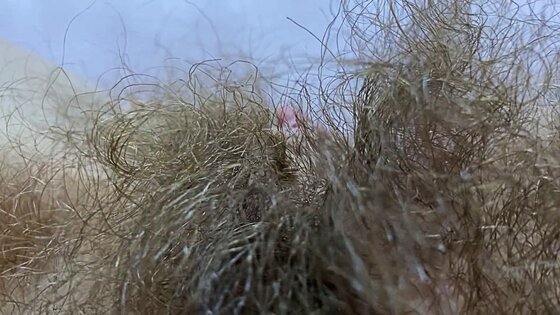 hairy pussy open hairy pussy compilation